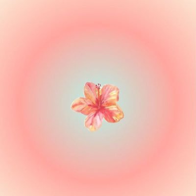 ravrll's profile picture. 🇸🇩🏇