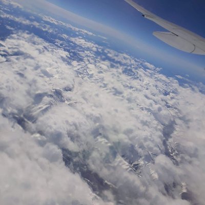 Urujena's profile picture. 