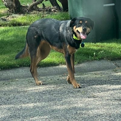 ShotoT111806's profile picture. FAN Page, I’ll be here