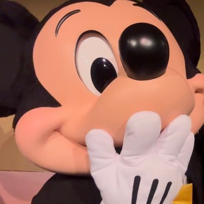 ayll8_'s profile picture. ミッキーだいすき🤍