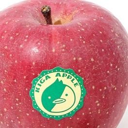 rekara99's profile picture. 20🔼 / ROM垢 / fan account