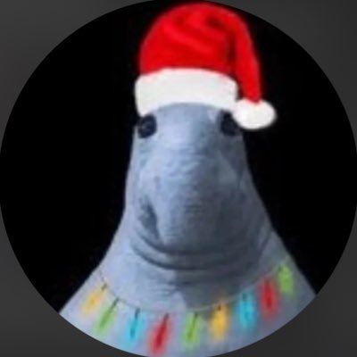 yalellamaremos0's profile picture. IG @ yalellamaremos