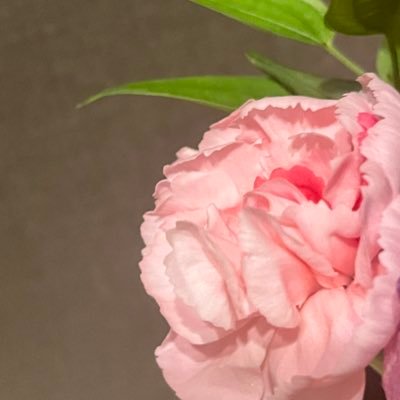 ReiaNakamura_'s profile picture. 生涯痺愛 #中村嶺亜 くん🩷 🗝🔥#KEYTOLIT が国立に行くまでデビューを応援します！B&ZAIを応援してます！ #BaetZ #今野大輝 くん