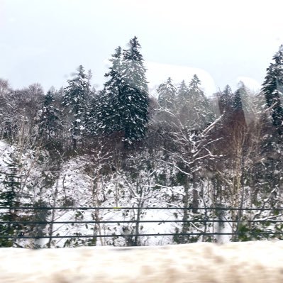 MNSNER1211's profile picture. 🌲💶