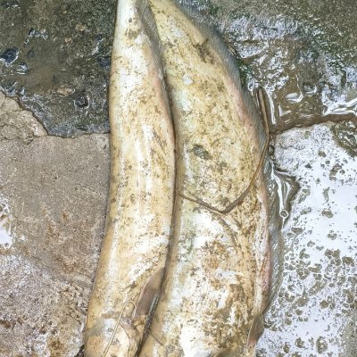 RanuKumari80714's profile picture. 💯💯💓💯💓💯💓💯💓💯💓💯💓💯💓💓💯💓💯💓💯💓💯💓💓💯💓💯💓💓💯💓💯💓💯💓💯💓💓💯💓💯💓💯💓