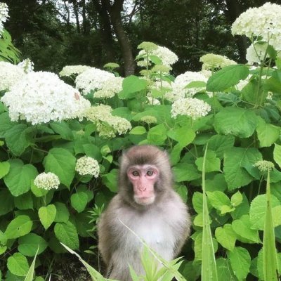 augxust0's profile picture. programador C e Java, entrando no mundo cyber.