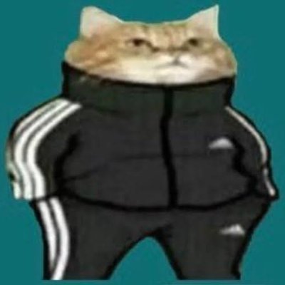 ilnajah's profile picture. Il N'Y A Plus D’Après.