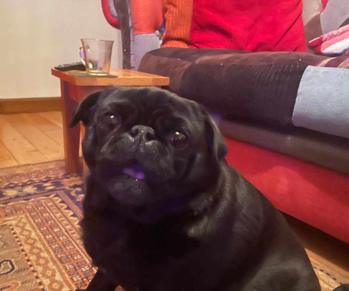 Lindathom2315's profile picture. 