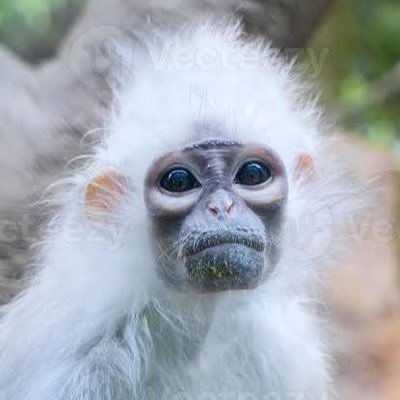 foreveryoung371's profile picture. 