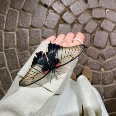 mmaa1567's profile picture. قلبٌ نَيِّر… وإن أظلمت الدنيا🤍.