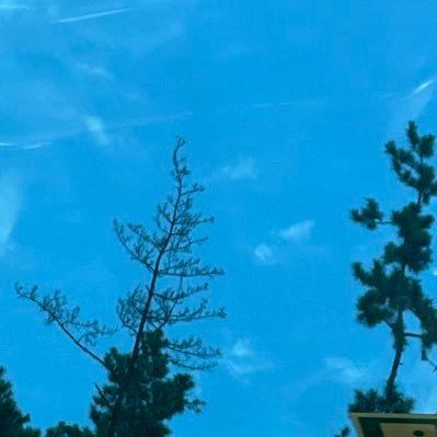 gangchaewo38830's profile picture. 