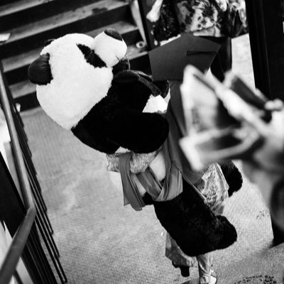 beingyourchoice's profile picture. One of incrementalists