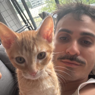 diogo49964007's profile picture. 