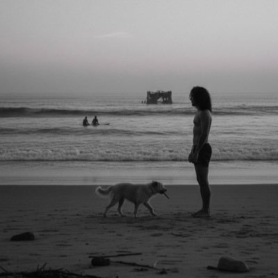 dunyadakitanri's profile picture. Sadece Can l Hukuk, tutkudan arınmış mantıktır.