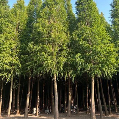 tyhoekl's profile picture. 旅行好きな私は、ヨーロッパの美しい都市を巡りました。フランスのプロヴァンスで日光を浴び、イタリアのローマで歴史的な遺跡に迷い、スペインのバルセロナで地中海の温かさを感じました。投資は私のもう一つの情熱で、旅行で美しい景色を発見するように、異なる市場で価値を見つける手助けをしてくれます。