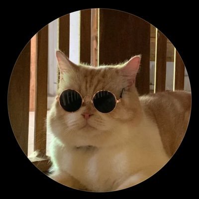 77_nnaa1's profile picture. 