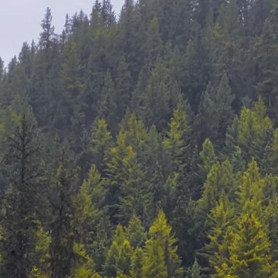 nhaina09's profile picture. 