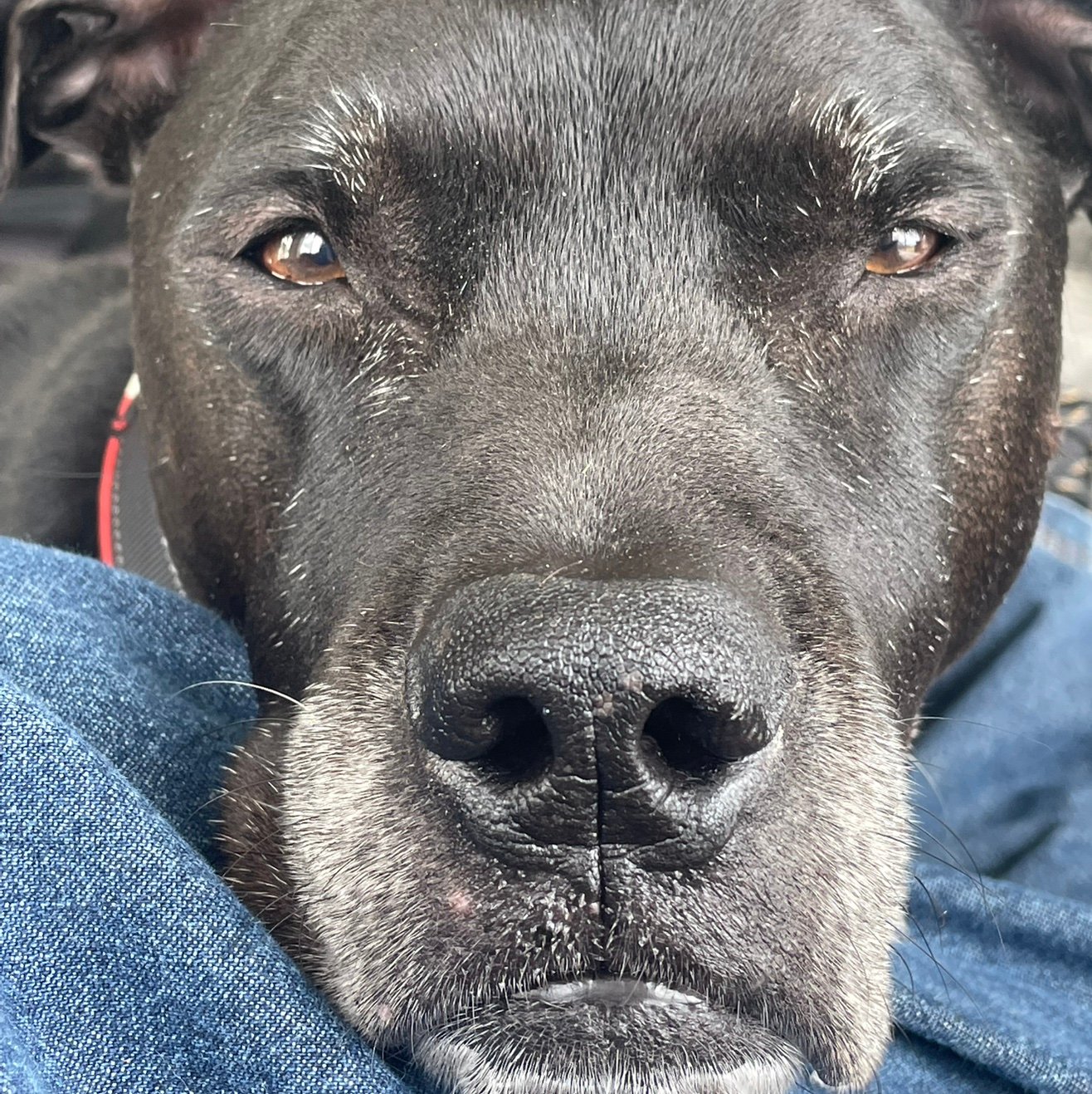 0w1ofWisdom's profile picture. 