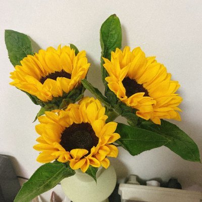 restartSSAl's profile picture. 私の投資戦略は、長期的なリターンと安定したキャッシュフローを重視しています。旅を通して様々な文化に触れることができました。旅好きの普通の女の子として、私は様々な場所を旅し、アメリカ大陸の活気、ヨーロッパのロマン、アジアの情熱を体験してきました。