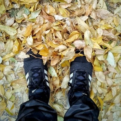 klaus_cam's profile picture. Enjoy the Silence • 
Music lover & digger / Creador de @AmbientSession / Productor y curador de #RuidodeFondoRadio por https://t.co/CtVYrr8h1v