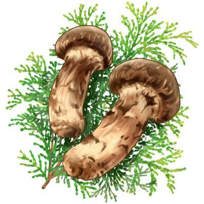 vsownf8i's profile picture. 