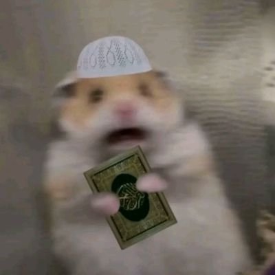 faha4dd1's profile picture. i lost everything