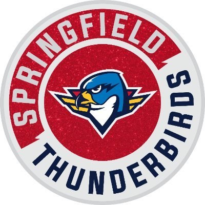 ThunderbirdsAHL's profile picture. we bring the boom ⚡️ | @stlouisblues affiliate