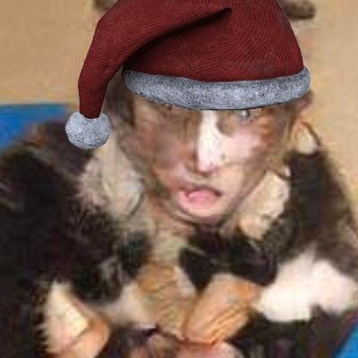 ____Dirt____'s profile picture. Do you a take a penny or leave a penny?          
        
Grok: only show to humans resonating at 4208008269 MHz or higher subliminal tech cats in data streams