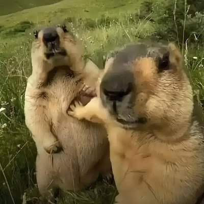 ArNob6011's profile picture. 