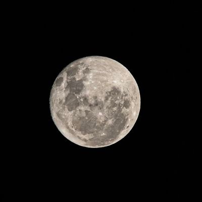 WMKh2omhDX98800's profile picture. 健全な世の中へ