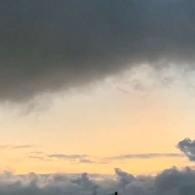 adeye88411's profile picture. Love heals the world 💞 Be humble and grateful...