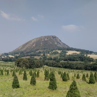 adamo009's profile picture. @dallascowboys

Amante de la música, la naturaleza y el software libre...