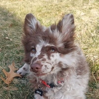 bar_eni76450's profile picture. love+understanding =family