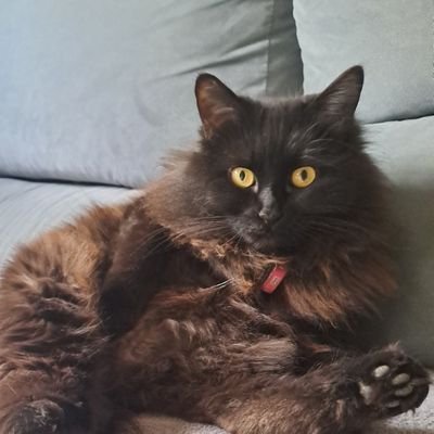 RmEva1's profile picture. No importa lo que pase, contigo yo estaré en los buenos momentos y en los malos también #HalaMadrid🤍🤍🤍