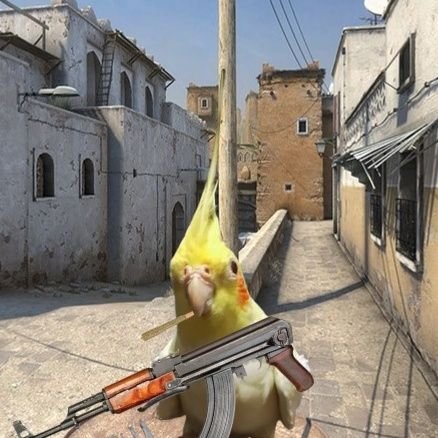 MiguelS30330416's profile picture. 