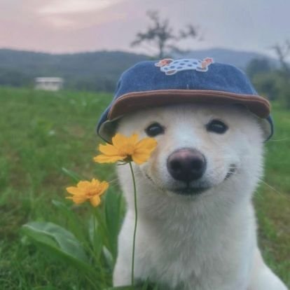 I_wise01's profile picture. The Jig is Up 🪙
New Account Follow Me Pls 👍