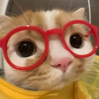 plsholdwithcare's profile picture. กระผมเป็นคนที่ไม่ค่อยมีอะไรทำให้รู้สึกกระดากได้