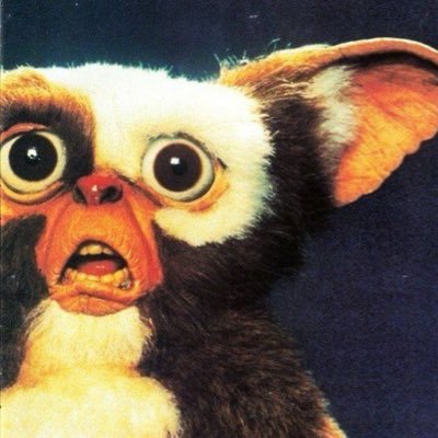 piska_v_sukni's profile picture. Заступник виконуючого обовʼязки очільника відділу степлювання паперу муніципальної розвідки Молдови📑