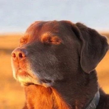 PensariaPensar's profile picture. Quando você pensa que pensa você pensou que pensa pensando