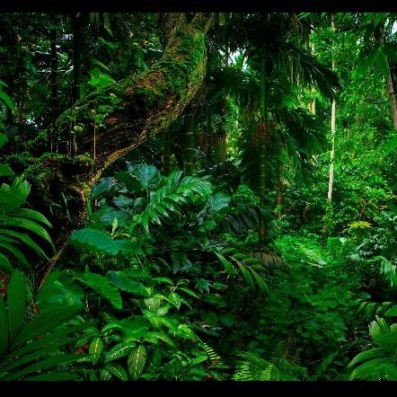 VeldandiKi65857's profile picture. waiting for the era of GentechAI (Gentech+AI).