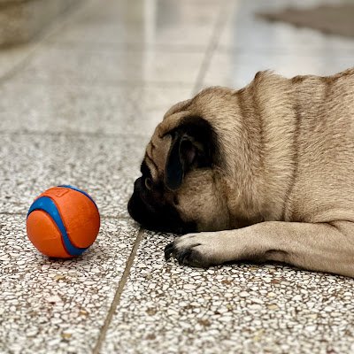 Durofrio192307's profile picture. 