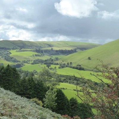 BEAG_Tweets's profile picture. Team Bat • Team Newt