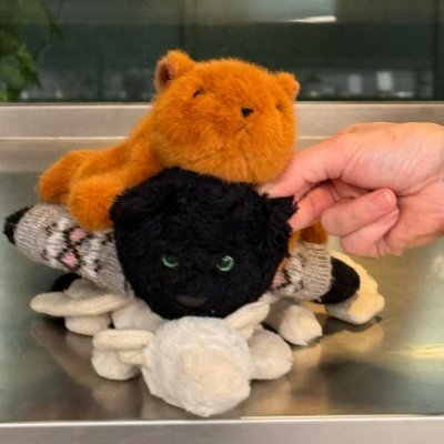 nebvhjk's profile picture. シンガポールのマリーナベイガーデンで散歩し、タイのチェンマイで静かな古寺を楽しみました。私はアジアの文化を探求するのが好きで、投資家としては、世界経済の中で最も可能性のある市場のチャンスを探し続けています。