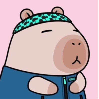 phill76815's profile picture. 资深律师 | 15年A股配资和18年合约两次破产 | 18年底豪赌卖房梭哈BTC翻身，从UNI就开始的空投项目玩家 | Yapybara Holder | Top-Yapper🌊 | 爱美女 | 爱宠物 | #BTC #ETH #SOL #BENJI #JUP #HYPE #KAITO #MVRK #PROVE #H