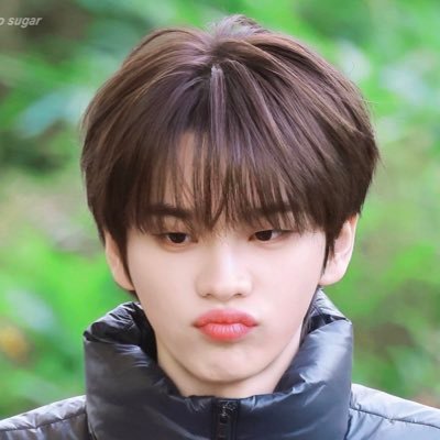 jmmlee_'s profile picture. stan account •‿• | 2NE1 ~ EXO~ BTS ~ SVT ~ THE BOYZ ~ ENHYPEN ~ NCT DREAM ~ ZB1 ~ BONEDO ~ TWS ~ CORTIS ~ Kang Woo Jin