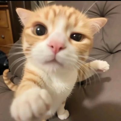 LiHeyi07211's profile picture. Better call saul