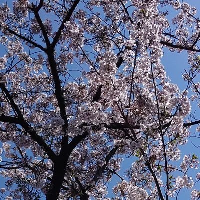 mitennisuzu's profile picture. 鎮西寿々歌さん(@suzuka_fz1124)
ふるっぱーのみなさん🤍