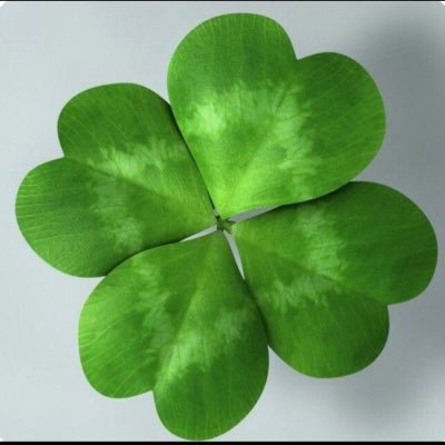 yasano777hawaii's profile picture. エンタメDD雑食多趣味♐️11.24B型#nike!#KARA!#Kamilia/Pride✨集中活動/#ハラ🍀#スンヨン✨#知英✨#ニコル✨#ギュリ✨#ヨンジ✨#莉乃≒#遥/#奈子/#田中美久✨#咲良!#怜!#本郷柚巴✨#優乃!#高宮!#紗佳!#岸明日香✨#夏来!#伊織!#Rock🎸#GLEAT👊#井口!#山田