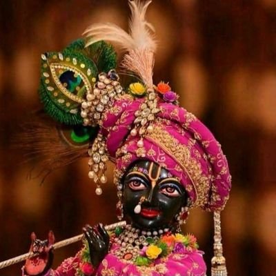 shivam1947298's profile picture. student