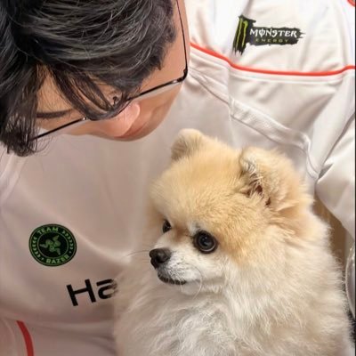 yusisphere's profile picture. @gumayusi_min 🐻🐳